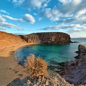 https://apartmento-juana-3.in-canary-islands.com